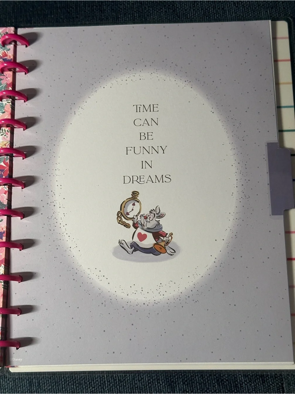 Disney Alice in Wonderland Happy Planner BIG Notebook